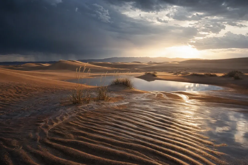 Wüsten-Dünen nach Regen – Natur – atmosphärisches Poster