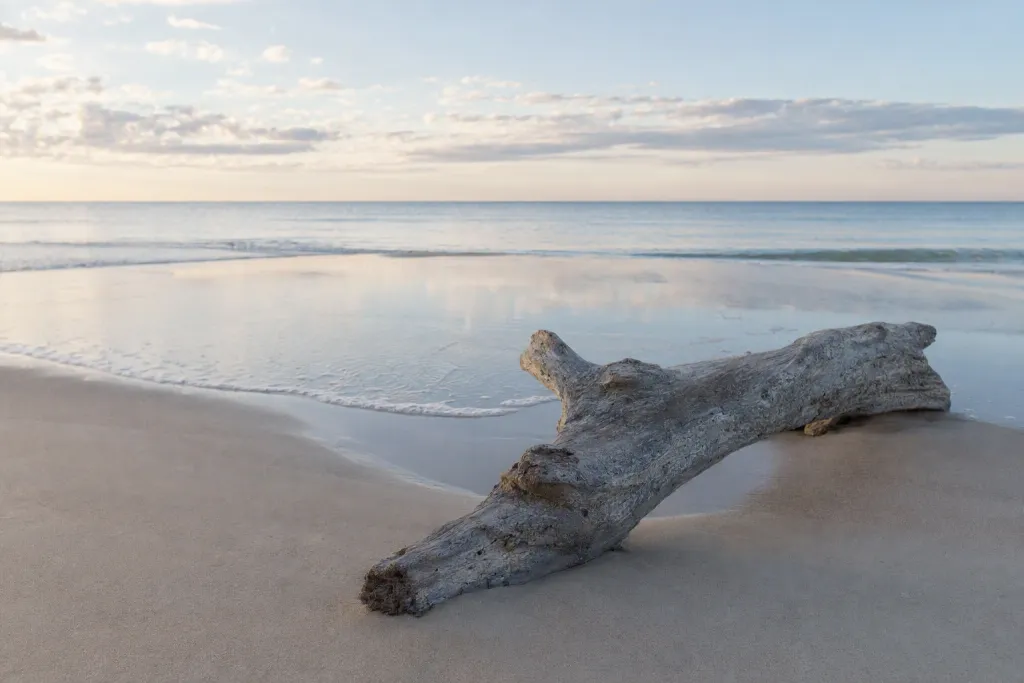 ชายหาดไม้ลอยยามเช้า ธรรมชาติ ชายหาด องค์ประกอบมินิมอล