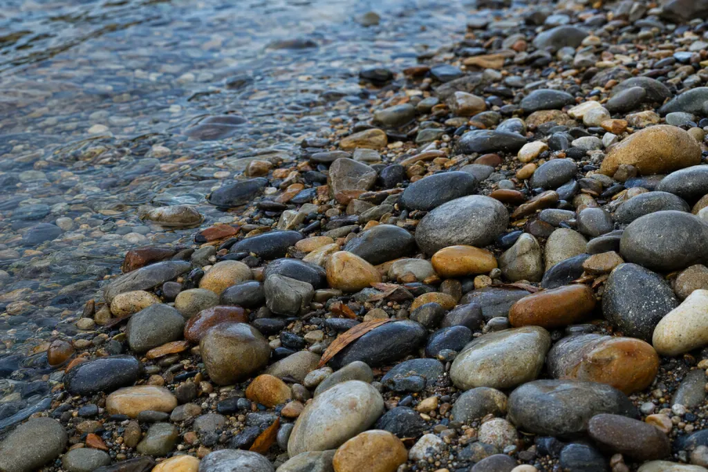 Primer plano natural de textura de ribera de río con guijarros mojados
